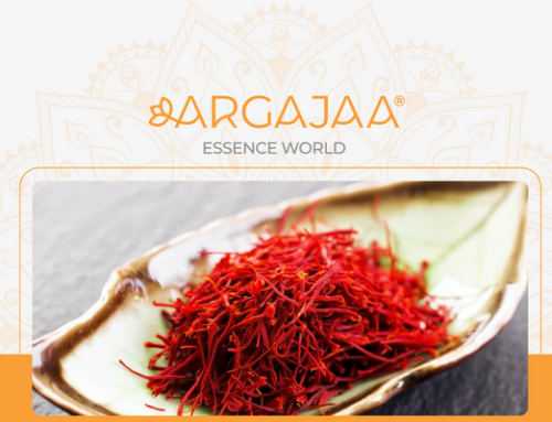 The Precious Spice: Exploring Saffron’s Origins and Harvesting Process