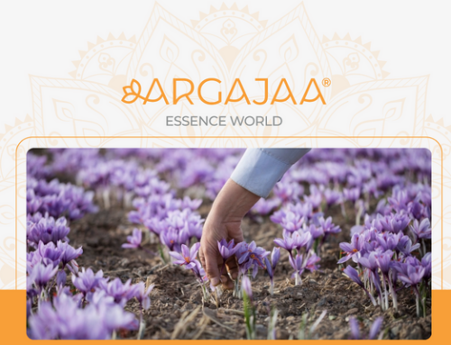 Saffron scarcity 2024 – Once in a decade event