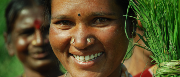 argajaa website canva pro images (2)