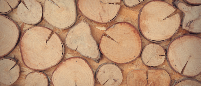 argajaa website canva pro images (3)