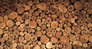 Stacked raw Indian sandalwood logs showing the aromatic inner heartwood