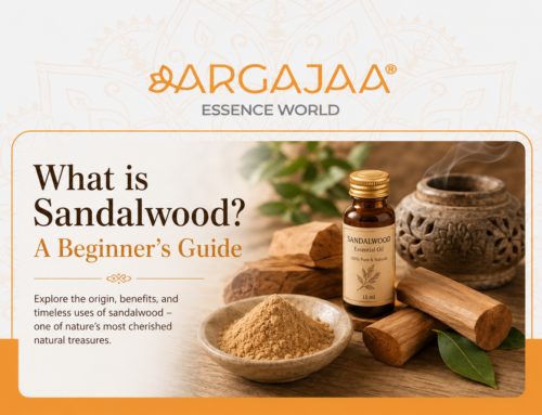 What is Sandalwood? A Beginner’s Guide
