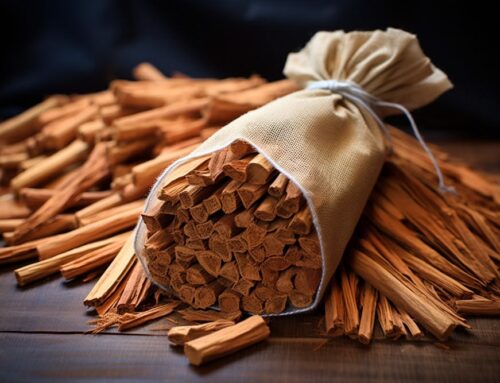 What is Sandalwood? A Beginner’s Guide